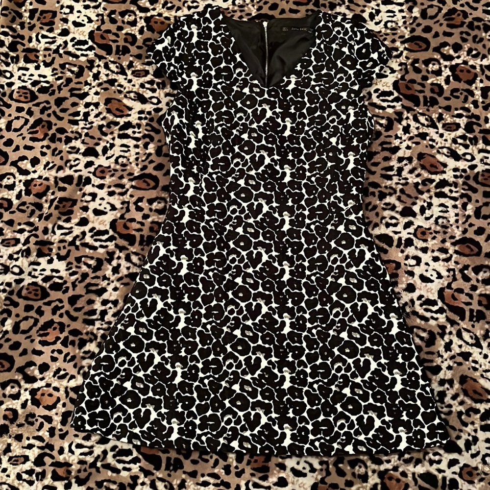 Zara Black & White Dress
